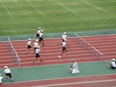 IMG_5762.jpg