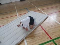 IMG_2768.jpg