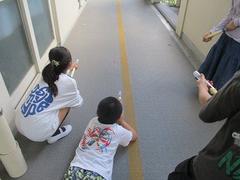 IMG_2895.jpg