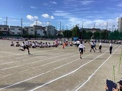IMG_1471.jpg