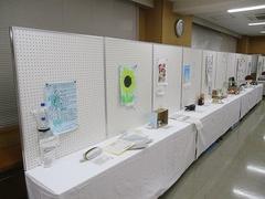 IMG_2991.jpg