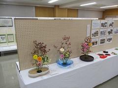 IMG_2994.jpg