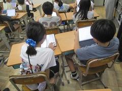 IMG_2954.jpg