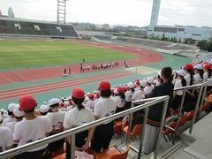 IMG_5755.jpg