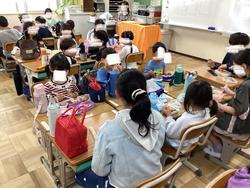 IMG_6808.jpeg