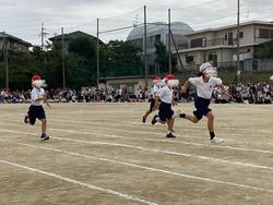 IMG_8245.jpeg