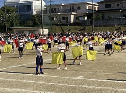 IMG_2826.jpeg