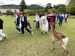 IMG_2338.jpeg