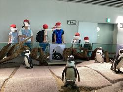 IMG_0392.jpeg