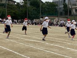 IMG_8242.jpeg