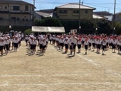 IMG_2998.jpeg