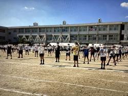 IMG_3031.jpeg