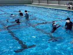 IMG_7186.jpeg