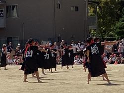 IMG_2692.jpeg