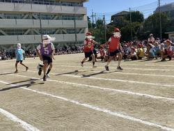IMG_2635.jpeg