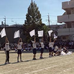 IMG_2837.jpeg