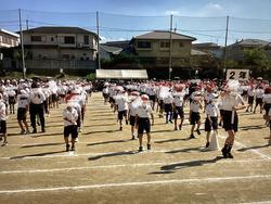 IMG_3006.jpeg