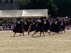 IMG_2694.jpeg