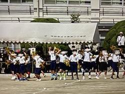 IMG_2999.jpeg