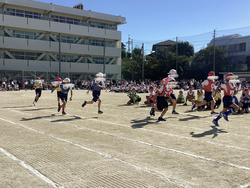 IMG_2577.jpeg