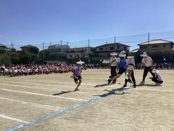 IMG_2642.jpeg