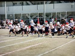 IMG_2989.jpeg