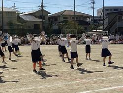 IMG_2645.jpeg
