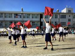 IMG_3042.jpeg