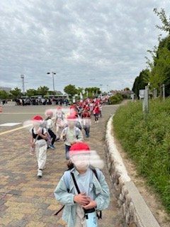 IMG_0559.jpeg