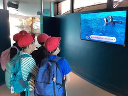 IMG_0740.jpg-1.jpeg