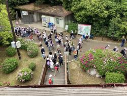 IMG_0924.jpeg