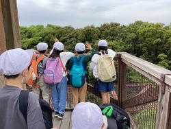 IMG_0926.jpeg