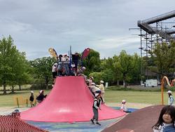 IMG_0927.jpeg
