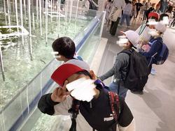IMG_0945.jpeg