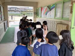 IMG_0962.jpeg