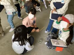 IMG_0979.jpeg