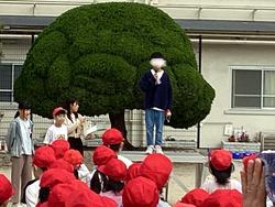 IMG_1179.jpeg