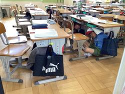 IMG_1244.jpeg