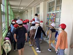 IMG_1246.jpeg