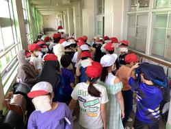 IMG_1250.jpeg