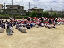 IMG_1277.jpeg