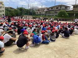 IMG_1286.jpeg