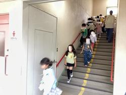 IMG_1306.jpeg