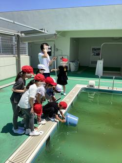 IMG_1317.jpeg