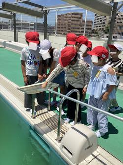 IMG_1319.jpeg