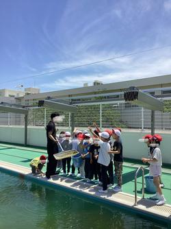 IMG_1330.jpeg