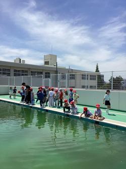 IMG_1332.jpeg