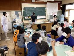 IMG_1372.jpeg