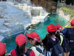 IMG_1512.jpeg