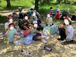 IMG_1706.jpeg